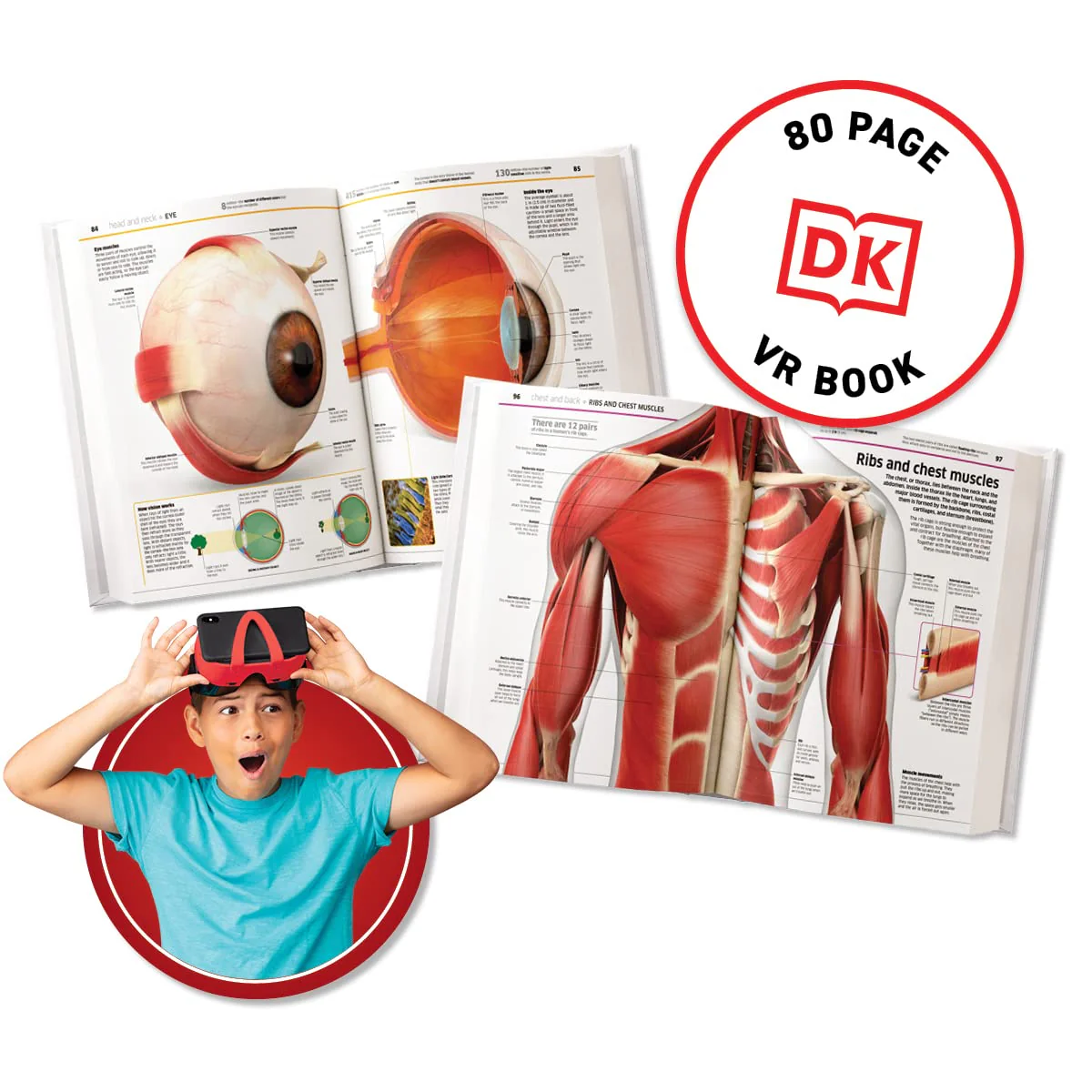 Abacus Brands Virtual Reality Human Body Gift Box- Illustrated Interactive VR Book and STEM Learning Activity Set - for Ages 8 and Up - Image 5