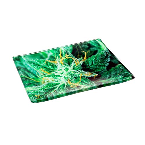 Glass Rolling Tray, AK-47 Strain Design by V Syndicate - Image 5