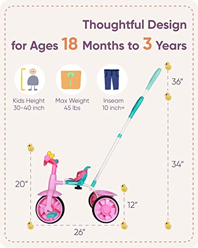 KRIDDO 2 in 1 Kids Tricycles Age 18 Month to 3 Years, EVA Wheels Upgraded, Gift, Trikes for Toddlers 2 to 3 Year Old with Push Handle and Duck Bell, Pink - Image 2
