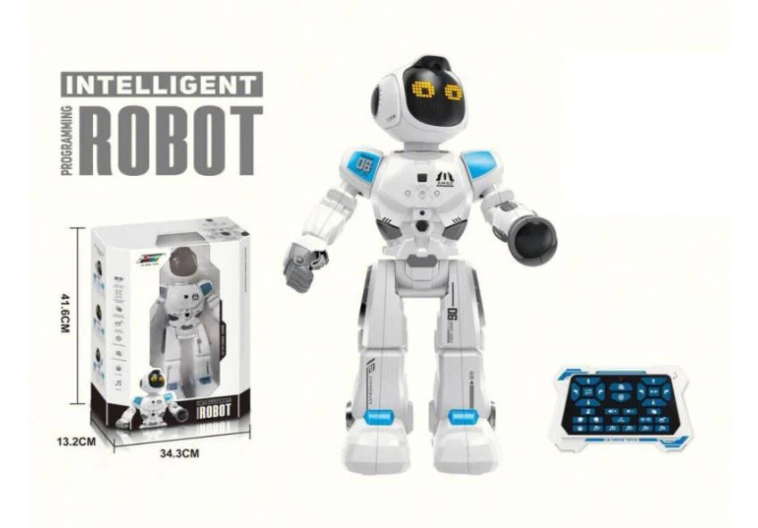 Puzzle Programming Robot